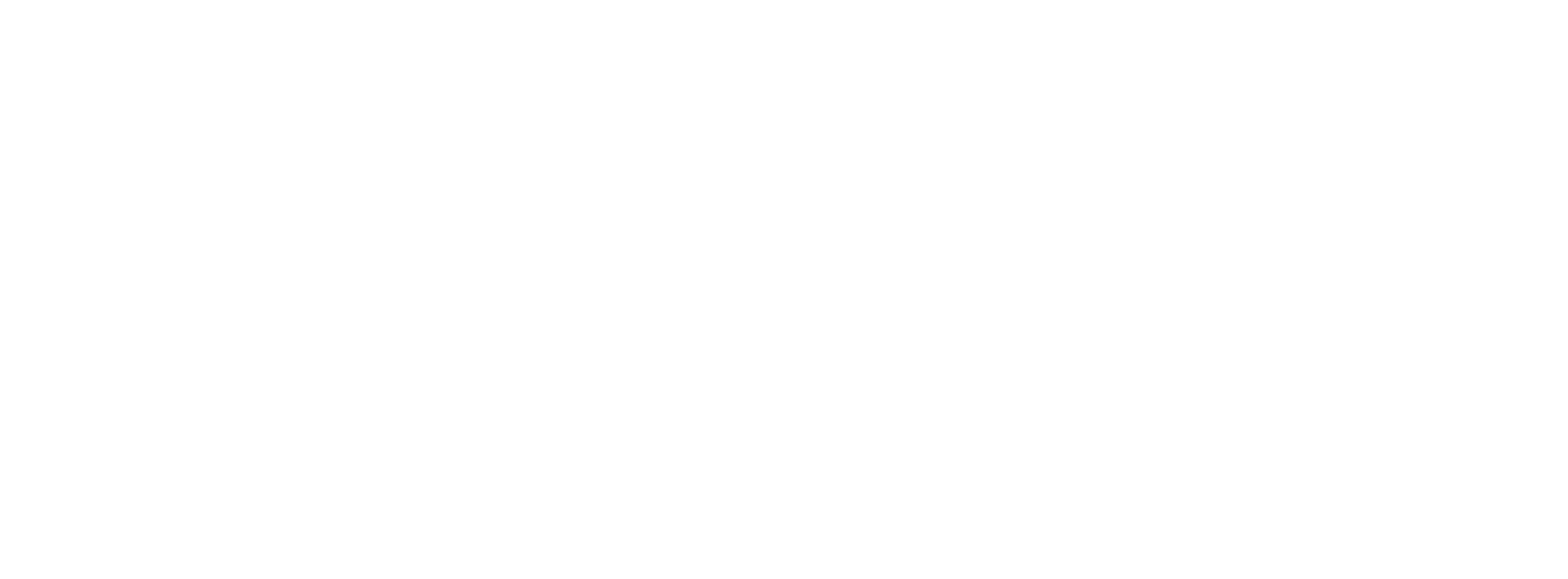 NC8Logo